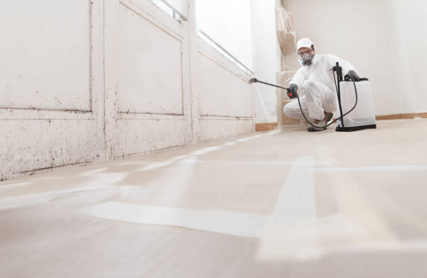 24/7 Emergency Mold Removal experts in North Arlington, NJ