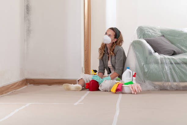 Reliable Mold Removal contractor in North Arlington, NJ by 24 Hour Mold Removal